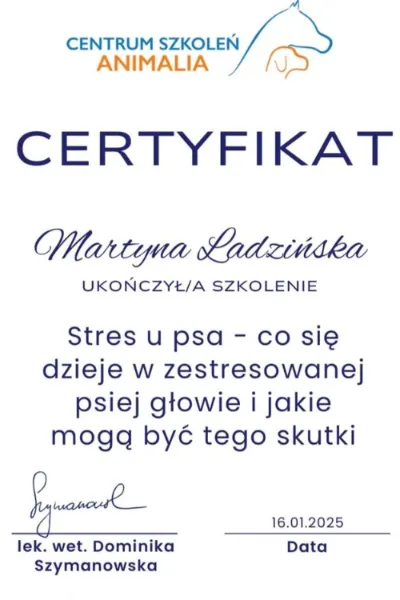 Certyfikat 14