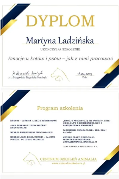 emocje u kotów i psów animalia