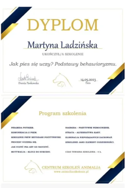 jak pies się uczy animalia