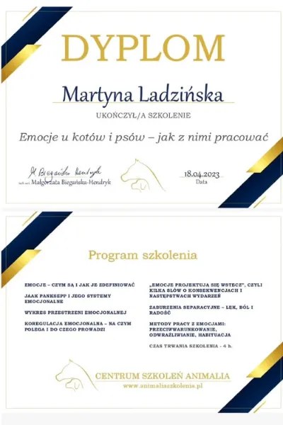 emocje u kotów i psów animalia