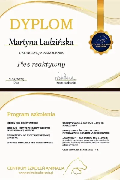 pies reaktywny animalia