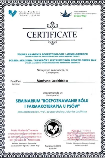 seminarium rozpoznawaniu bólu i farmakoterapia u psów